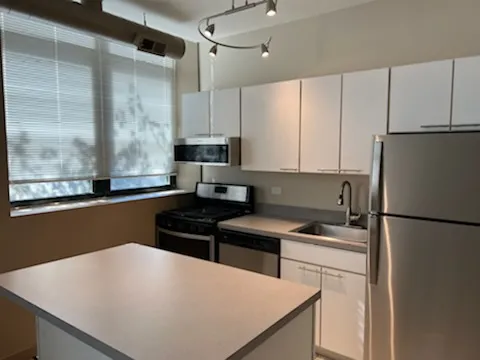 3900 N DAMEN AVE 60618-Byron Lofts-unit#302-Chicago-IL