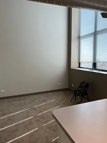 3900 N DAMEN AVE 60618-Byron Lofts-unit#302-Chicago-IL