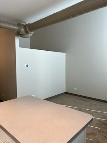 3900 N DAMEN AVE 60618-Byron Lofts-unit#302-Chicago-IL