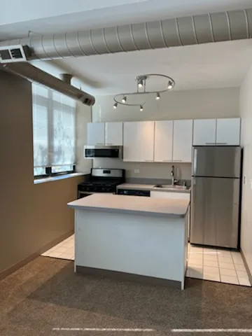 3900 N DAMEN AVE 60618-Byron Lofts-unit#302-Chicago-IL