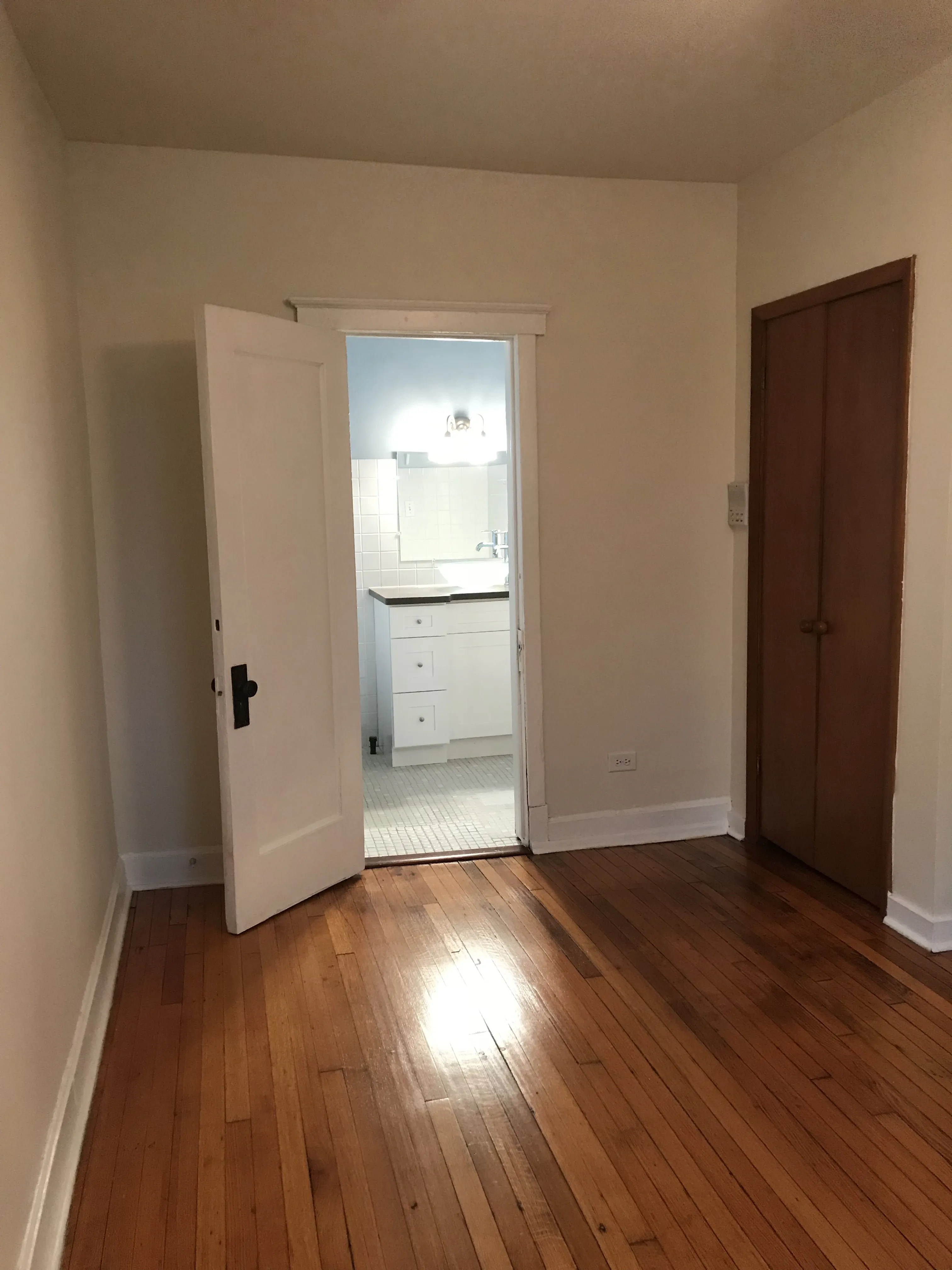 5112 S CORNELL AVE 60615-unit#3NW-Chicago-IL