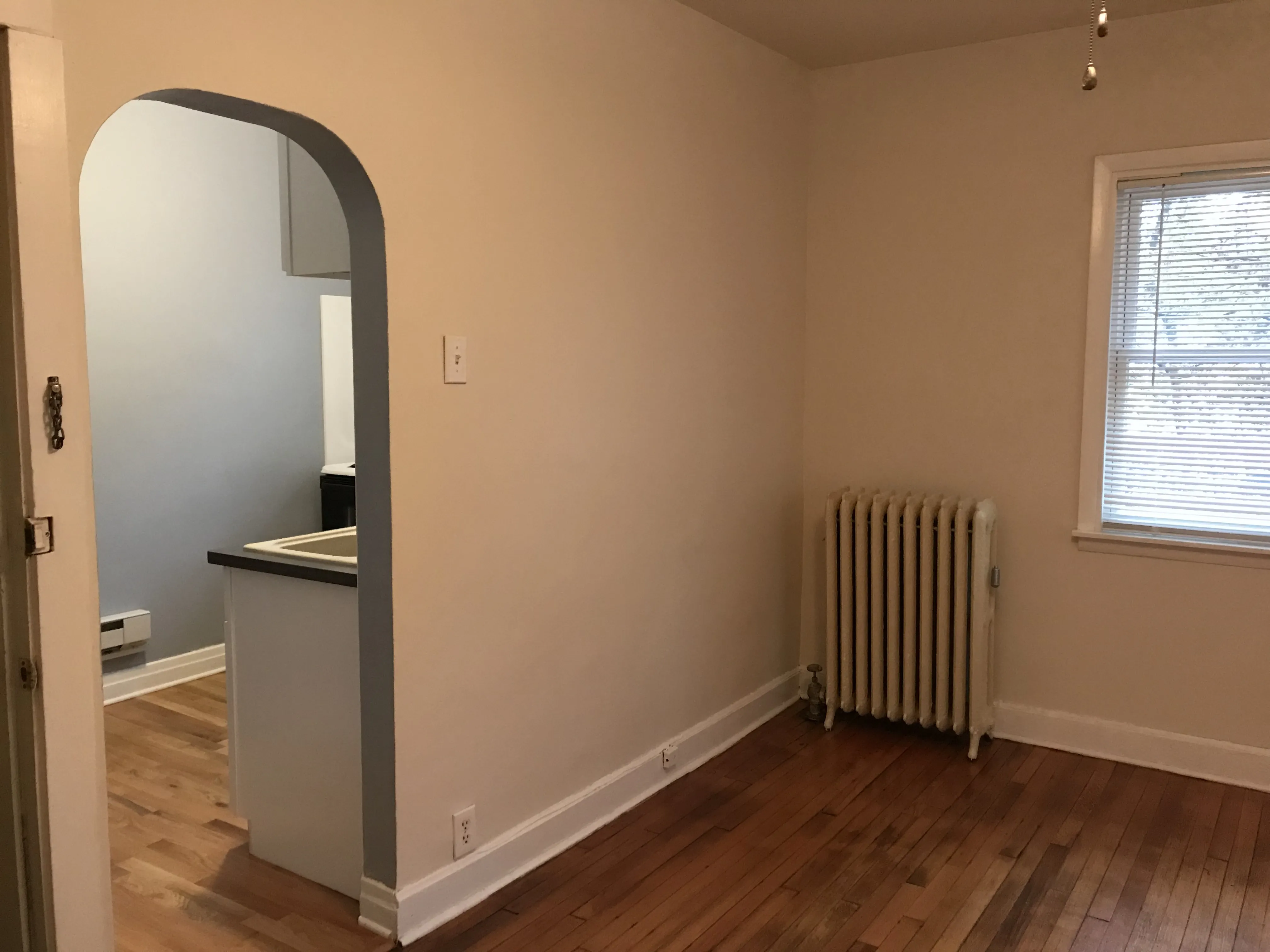 5112 S CORNELL AVE 60615-unit#3NW-Chicago-IL