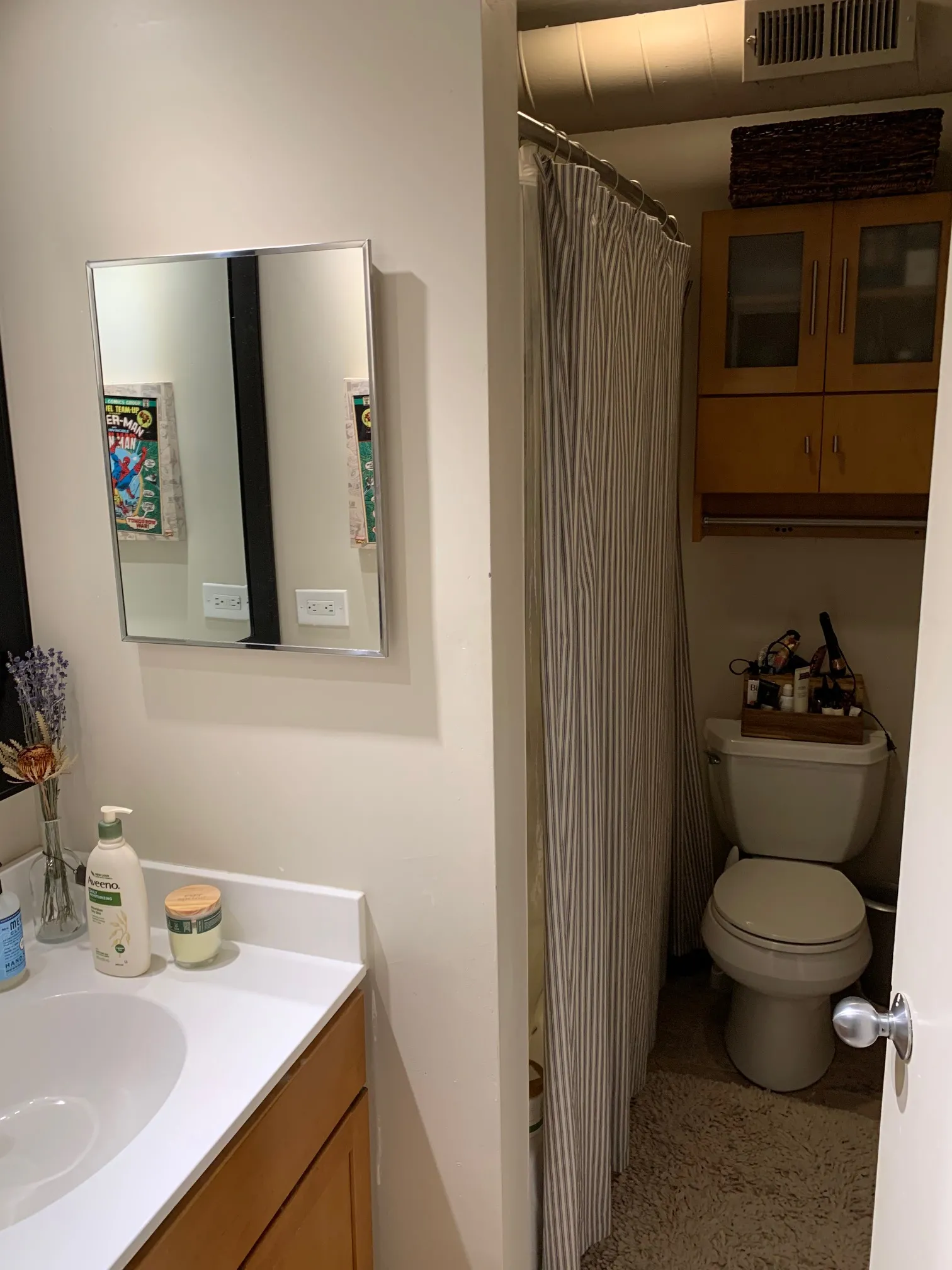 1301 W FLETCHER ST 60657-Brewery Lofts-unit#209-Chicago-IL