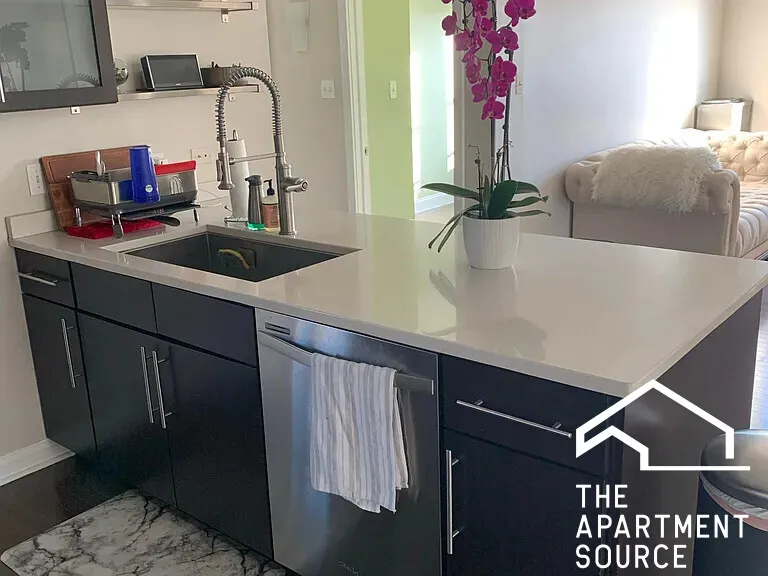 551 W BROMPTON AVE 60657-unit#3-Chicago-IL