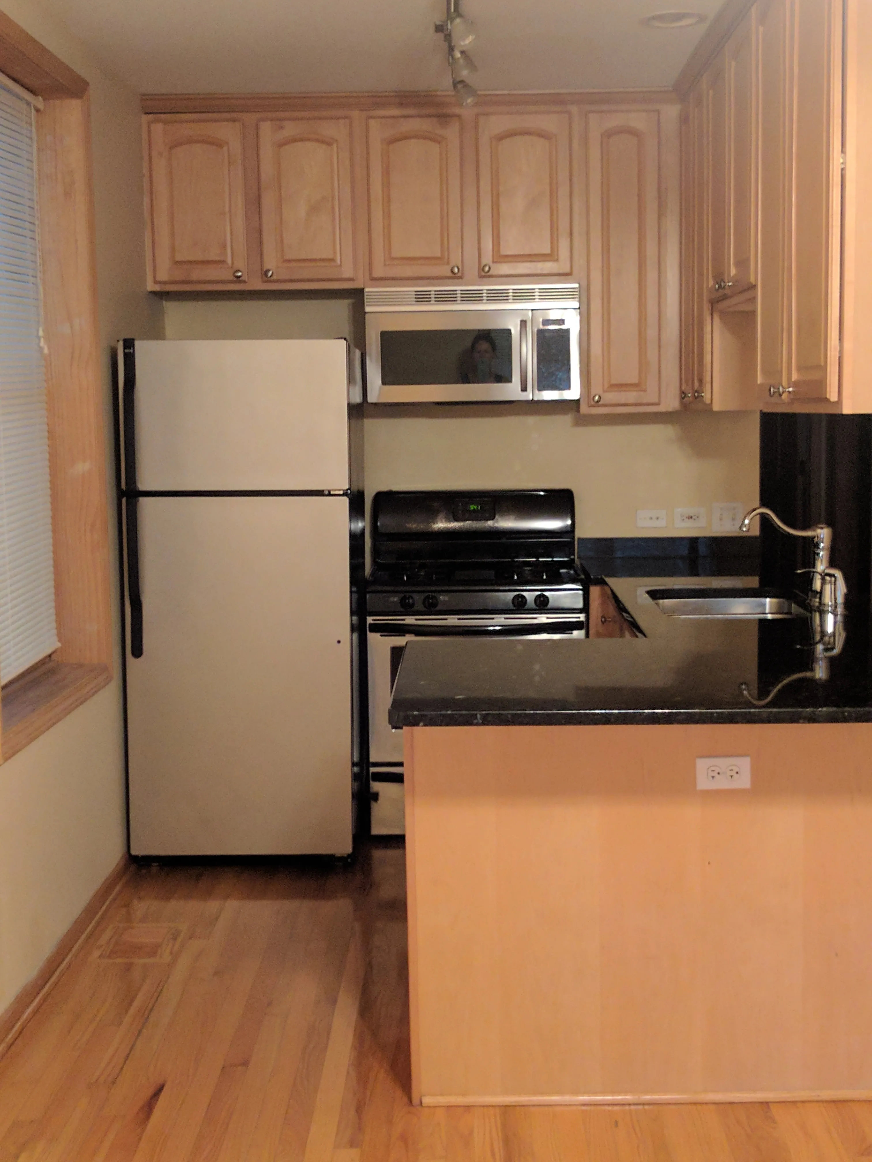 4138 N CLAREMONT AVE 60618-unit#1-Chicago-IL