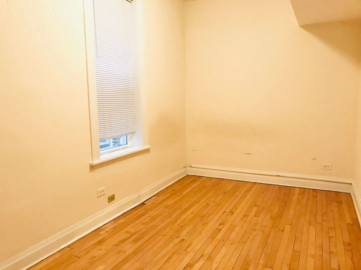 2535 N CENTRAL PARK AVE 60647-unit#1-Chicago-IL