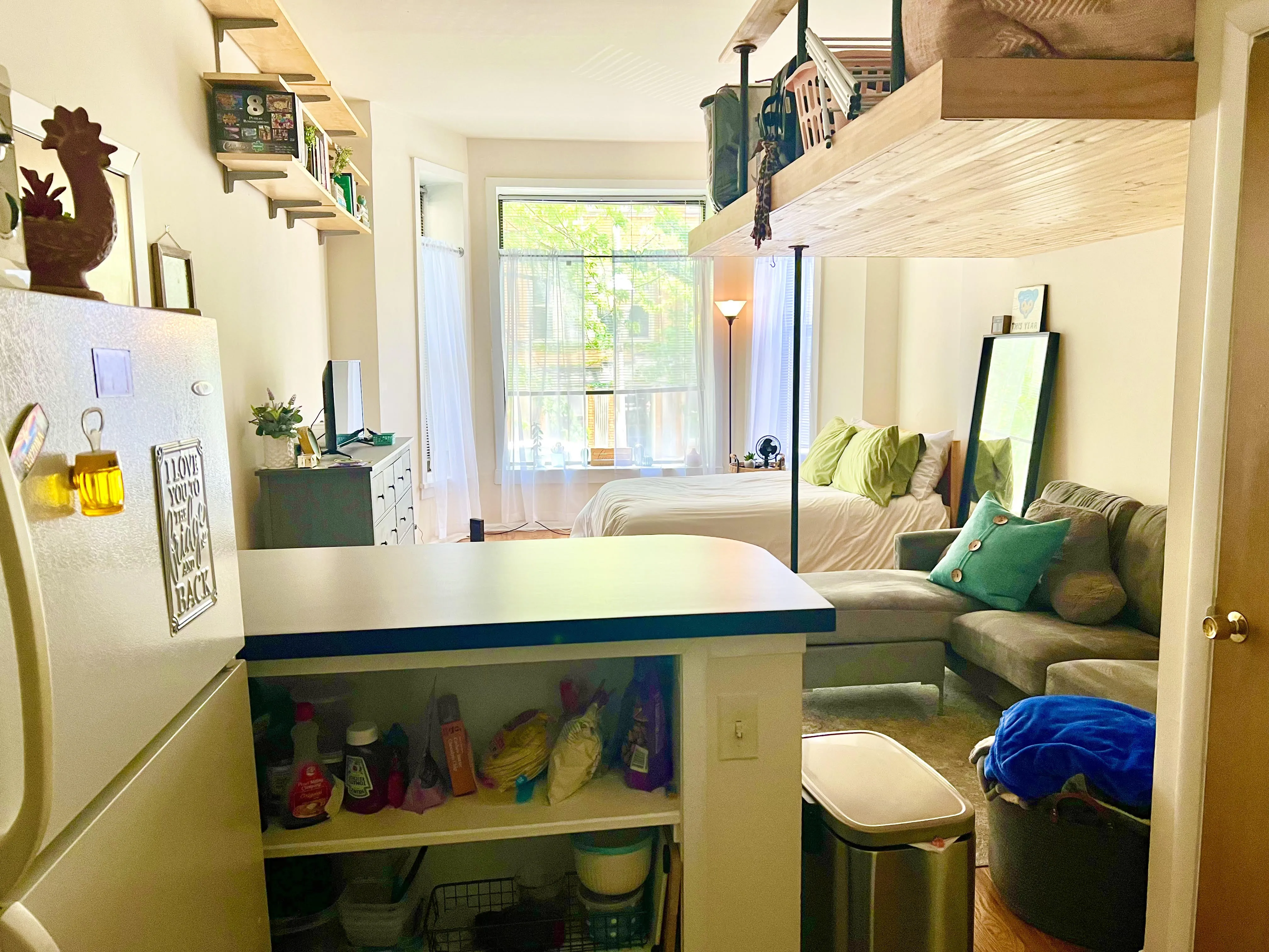 448 W ST JAMES PL 60614-unit#1A-Chicago-IL