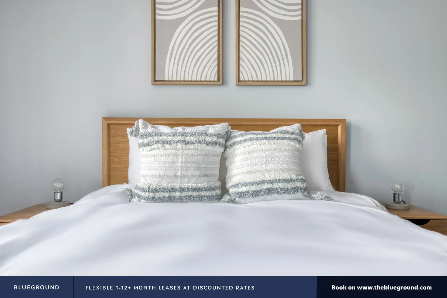 3401 PAYTON PL 60005-Payton Place-unit#ID911-Arlington Heights-IL