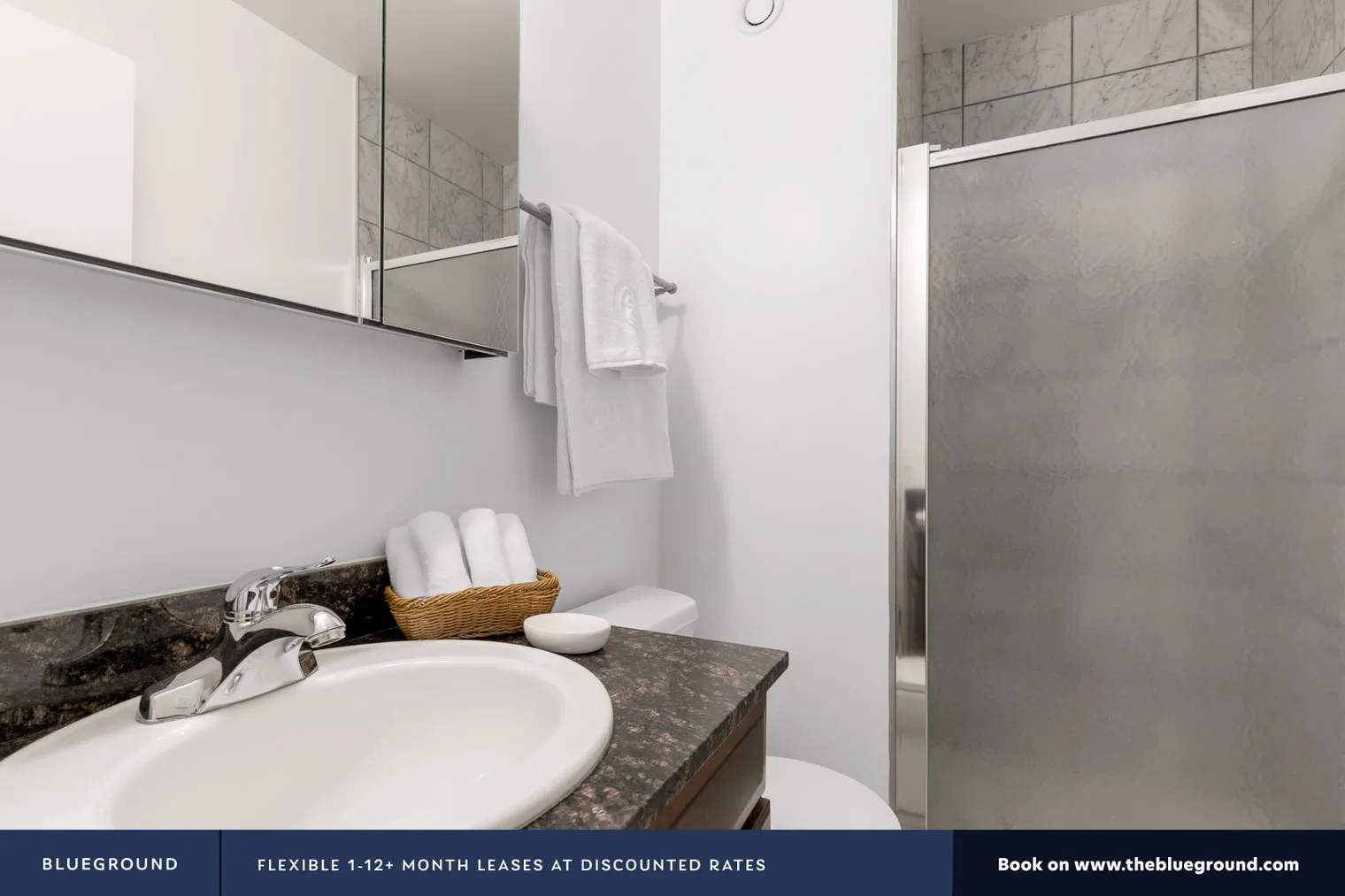 1133 N DEARBORN ST 60610-1133 N. Dearborn-unit#ID207-Chicago-IL