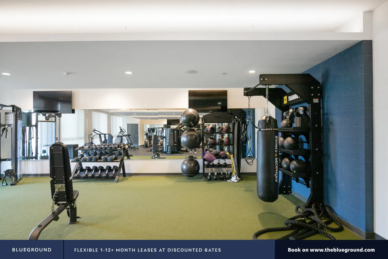 3401  PAYTON PL 60005- Payton Place-unit#ID592-Arlington Heights-IL