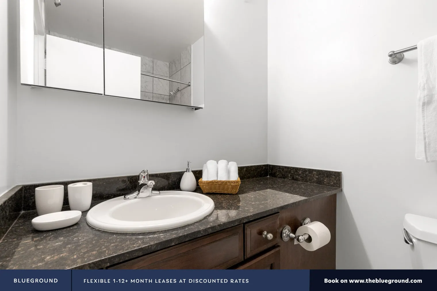 1133 N DEARBORN ST 60610-1133 N. Dearborn-unit#ID207-Chicago-IL