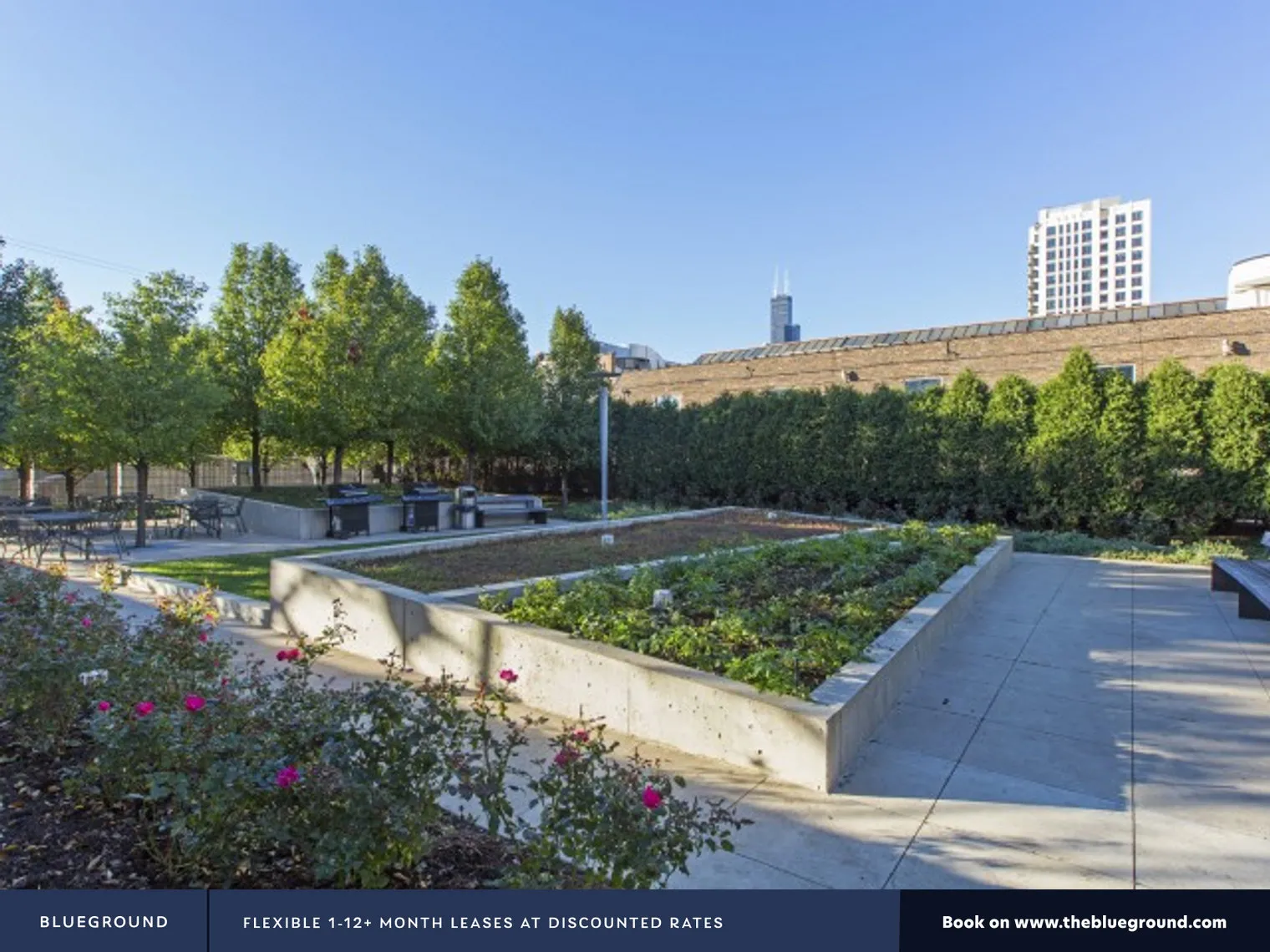 1401 S STATE ST 60605-1401 S. State-unit#ID528-Chicago-IL