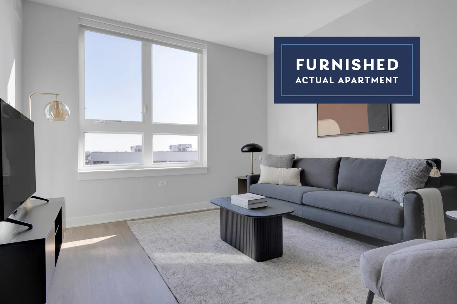 3401 PAYTON PL 60005- Payton Place-unit#ID592-Arlington Heights-IL