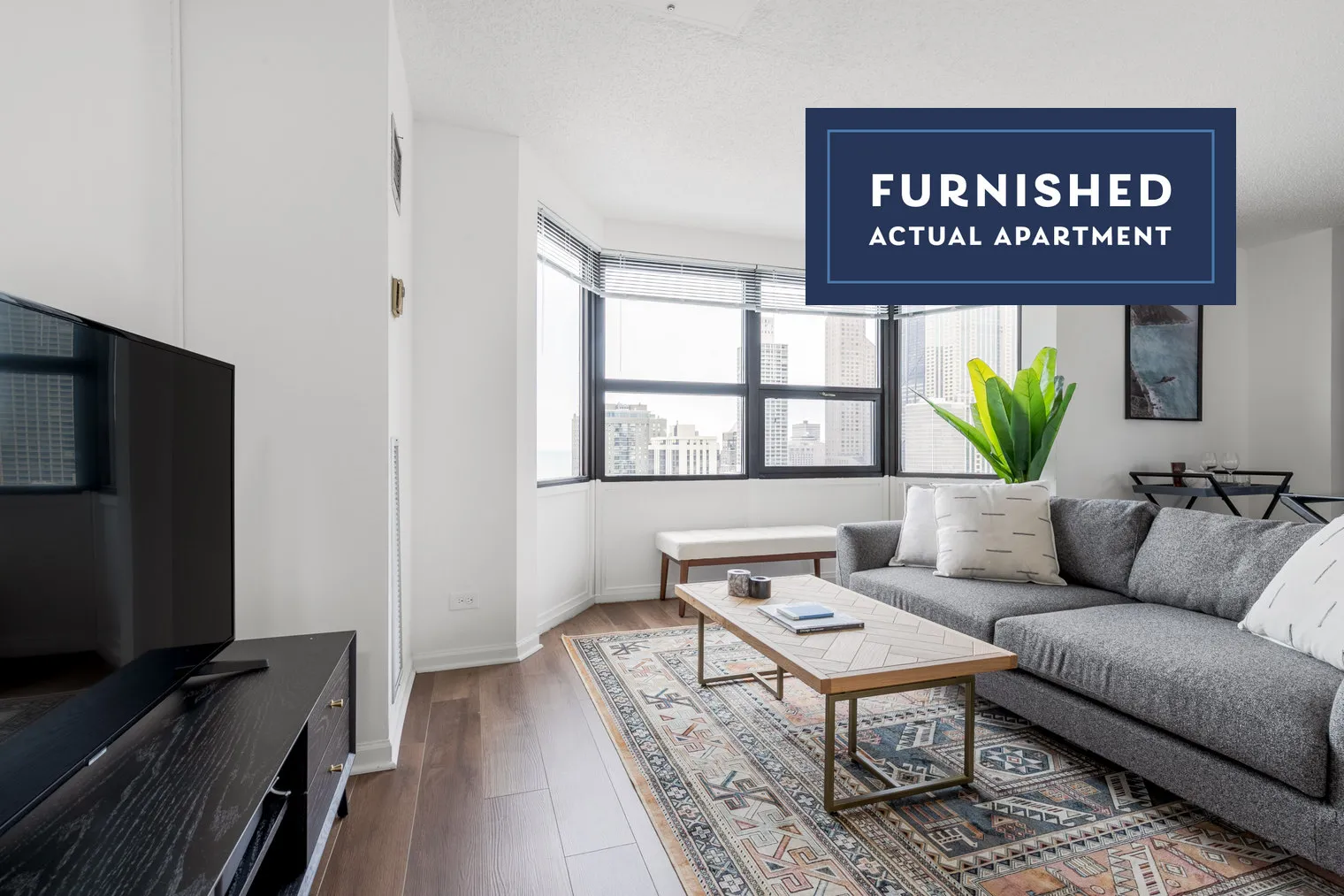 1133 N DEARBORN ST 60610-1133 N. Dearborn-unit#ID207-Chicago-IL