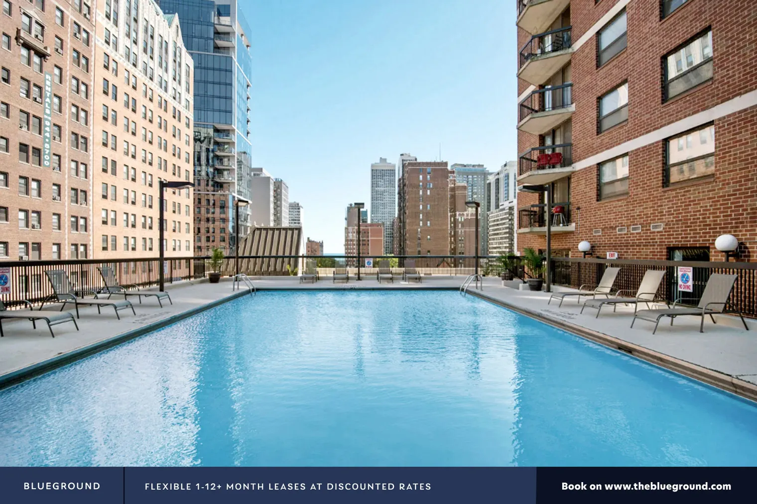 1133 N DEARBORN ST 60610-1133 N. Dearborn-unit#ID207-Chicago-IL