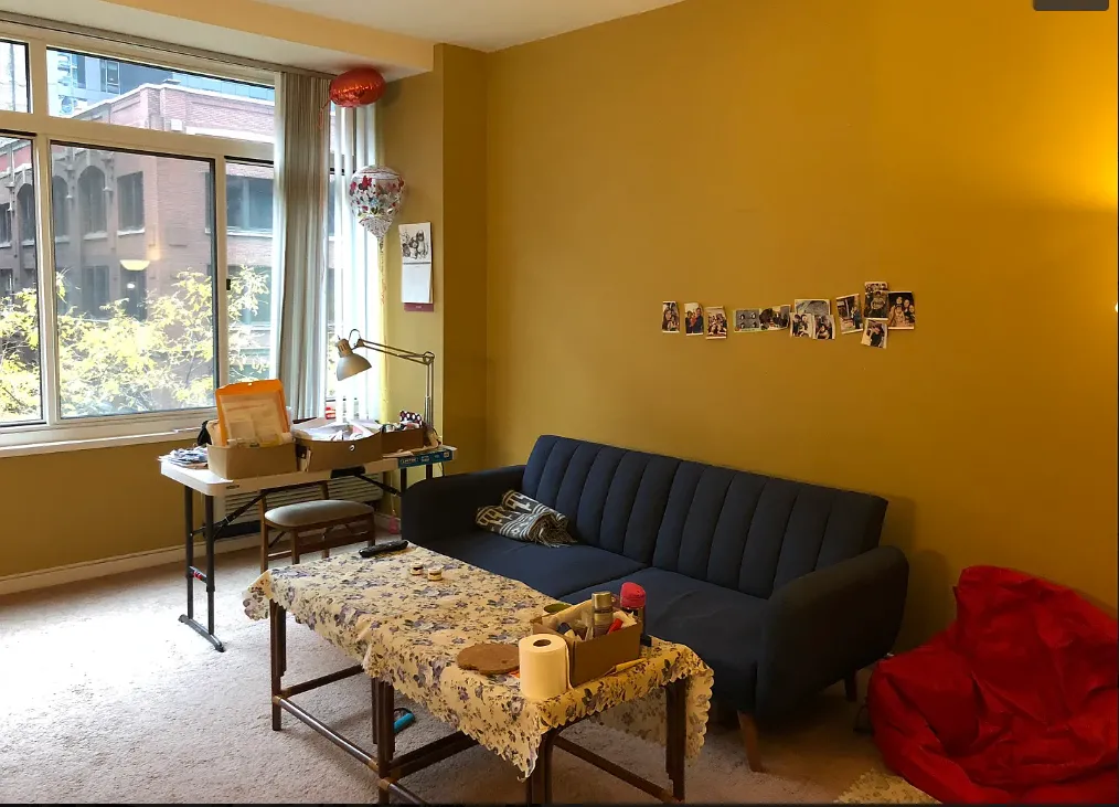 Streeterville Condos For Rent 1 Bedroom, 1 Bathroom At 211 E Ohio St 525