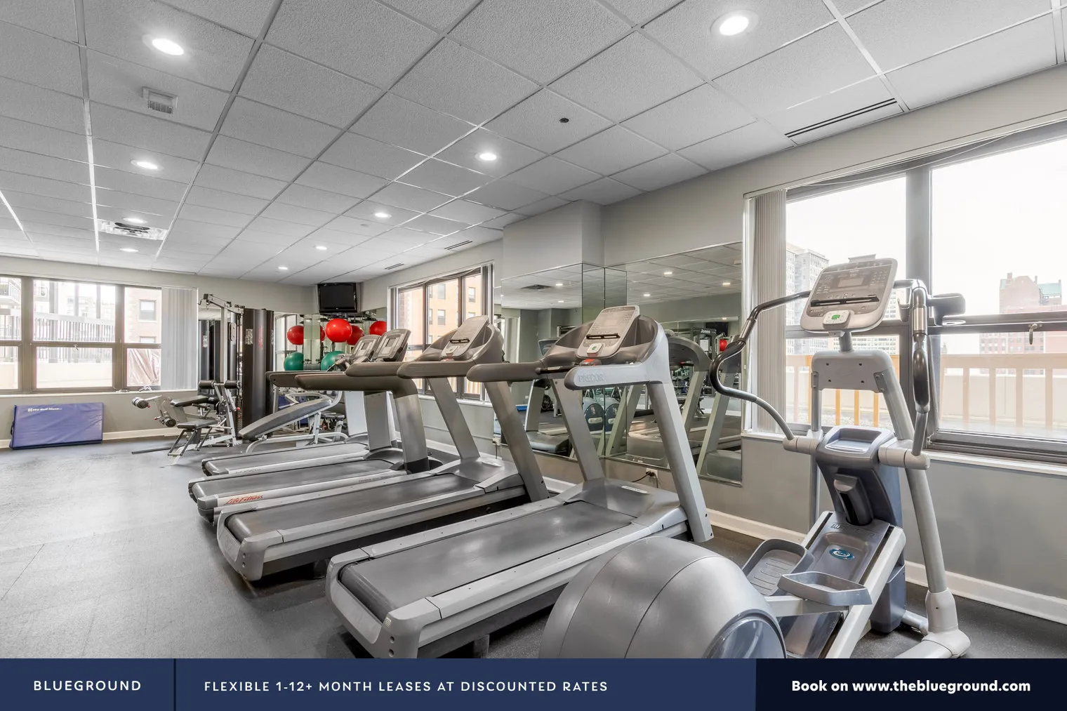 1133 N DEARBORN ST 60610-1133 N. Dearborn-unit#ID207-Chicago-IL