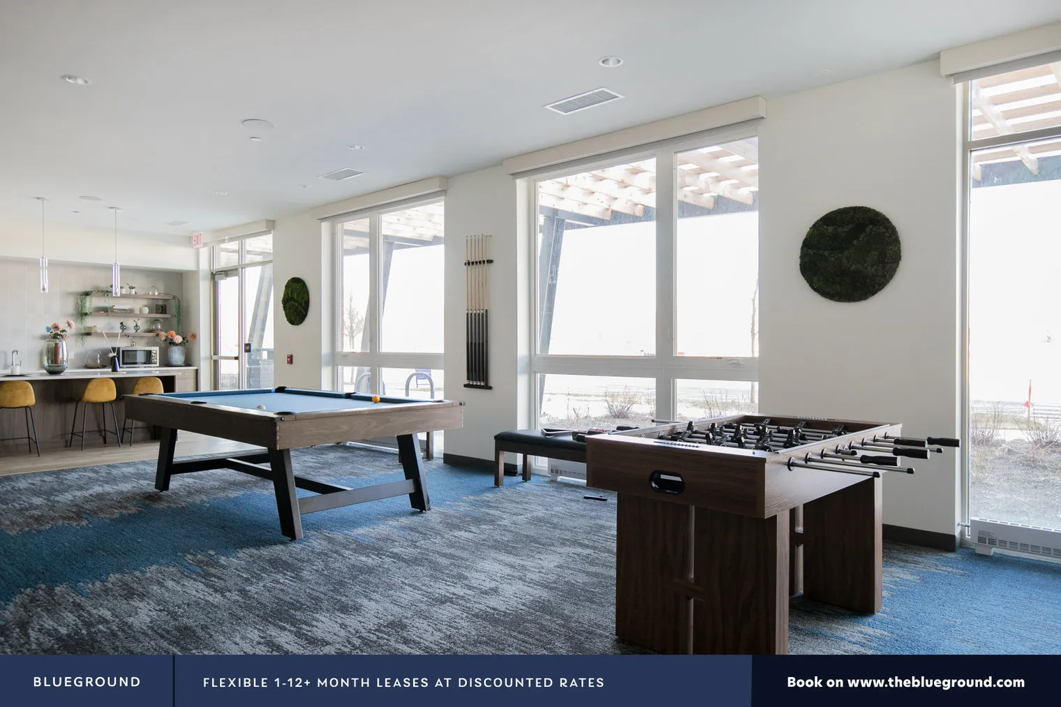 3401  PAYTON PL 60005- Payton Place-unit#ID592-Arlington Heights-IL