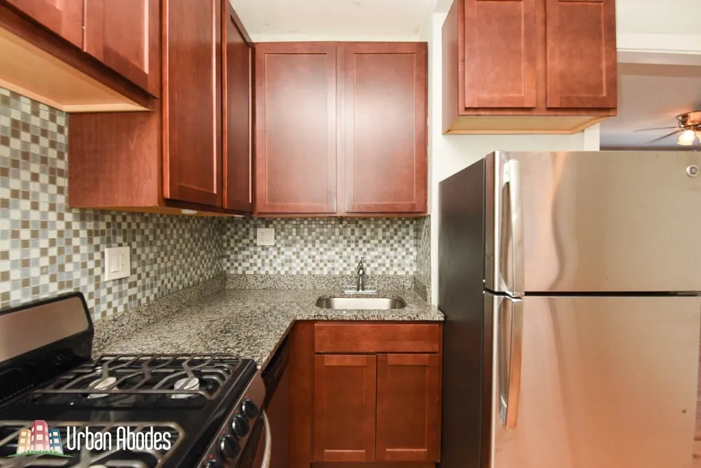 3720.5 N PINE GROVE AVE 60613-unit#E4-Chicago-IL
