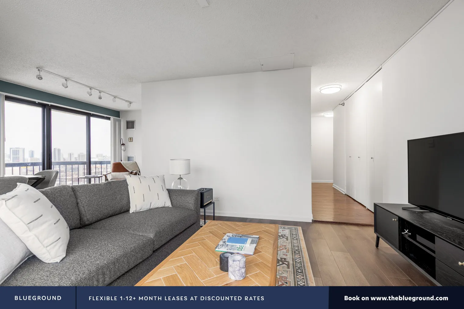 1133 N DEARBORN ST 60610-1133 N. Dearborn-unit#ID207-Chicago-IL