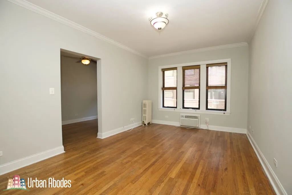 748 W ADDISON ST 60613-unit#1N-Chicago-IL