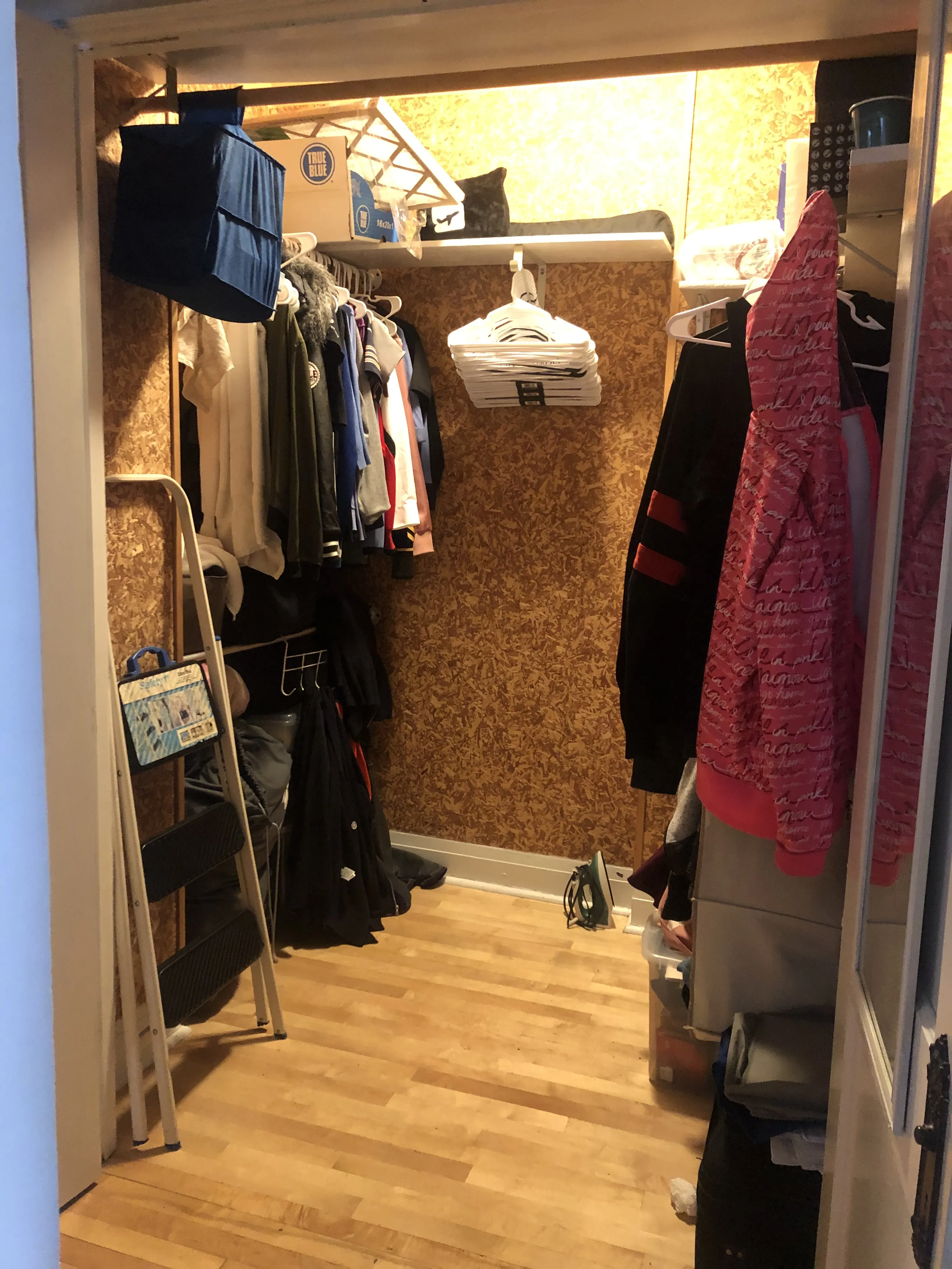 2449 W PENSACOLA AVE 60618-unit#1-Chicago-IL