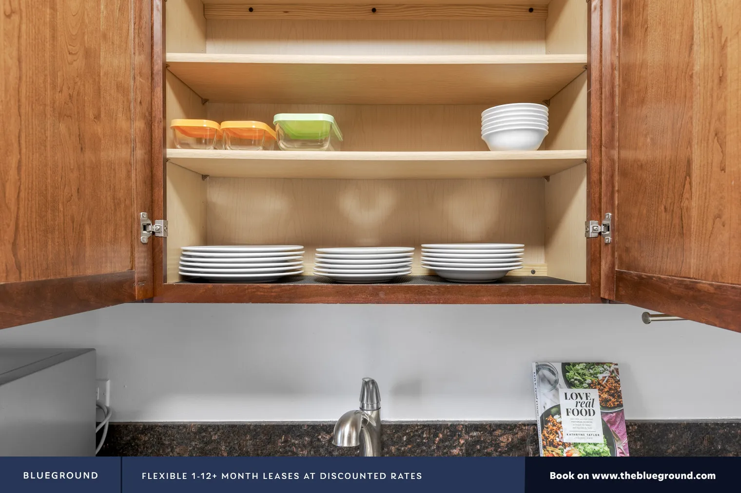 1133 N DEARBORN ST 60610-1133 N. Dearborn-unit#ID207-Chicago-IL