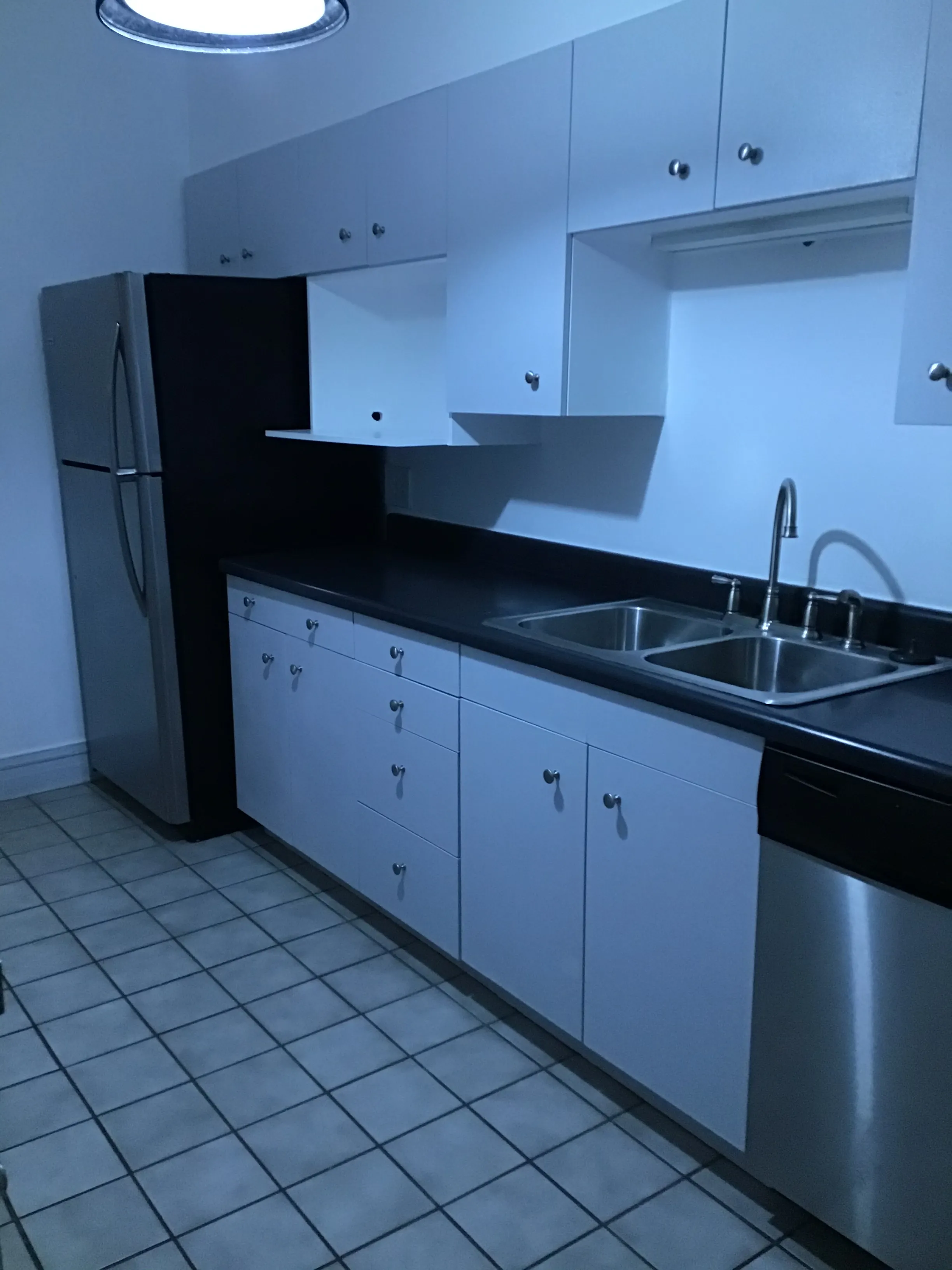 2449 W PENSACOLA AVE 60618-unit#1-Chicago-IL