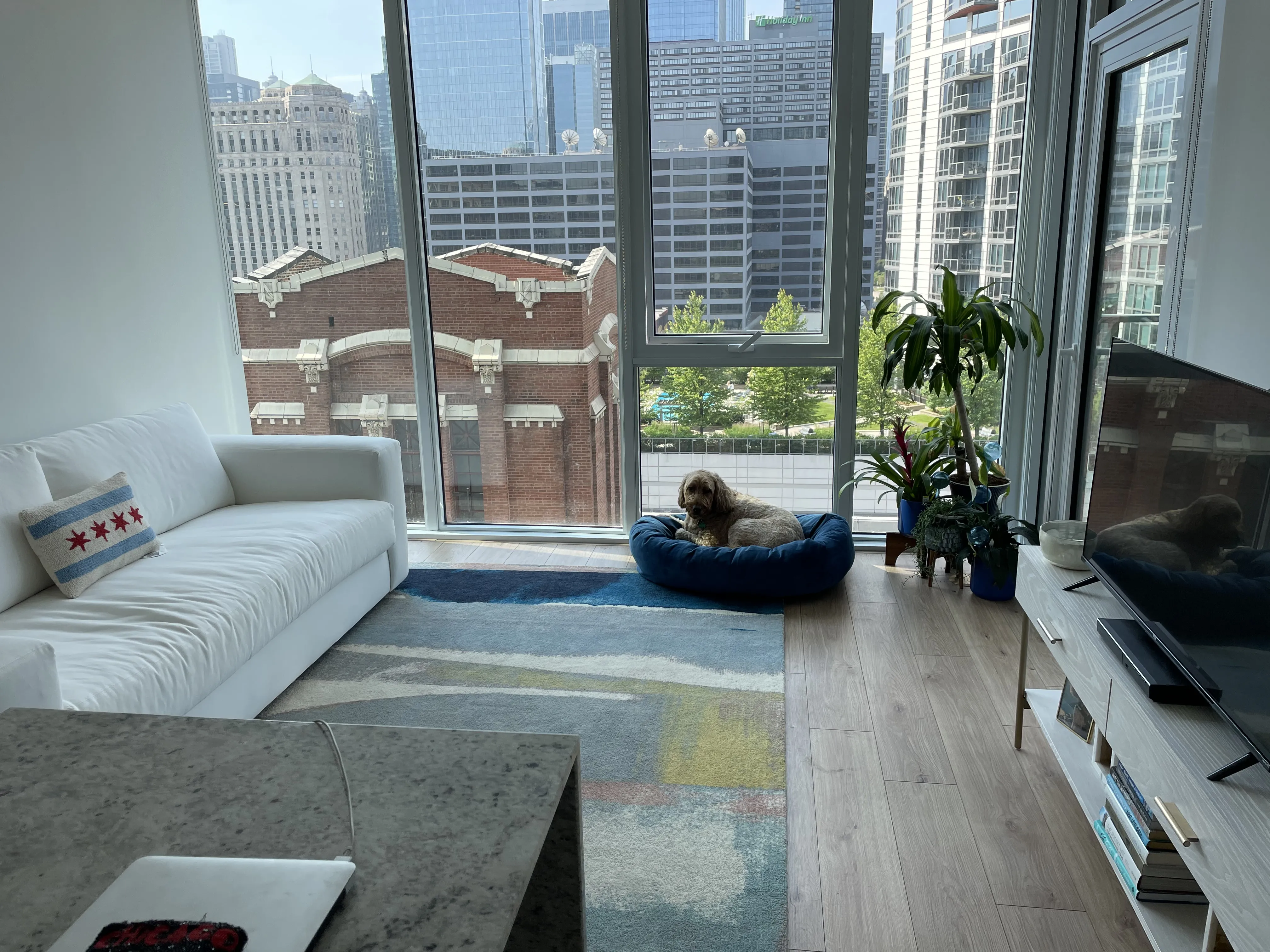 369 W GRAND AVE 60654-Luxury Short Term Sublease-unit#1310-Chicago-IL