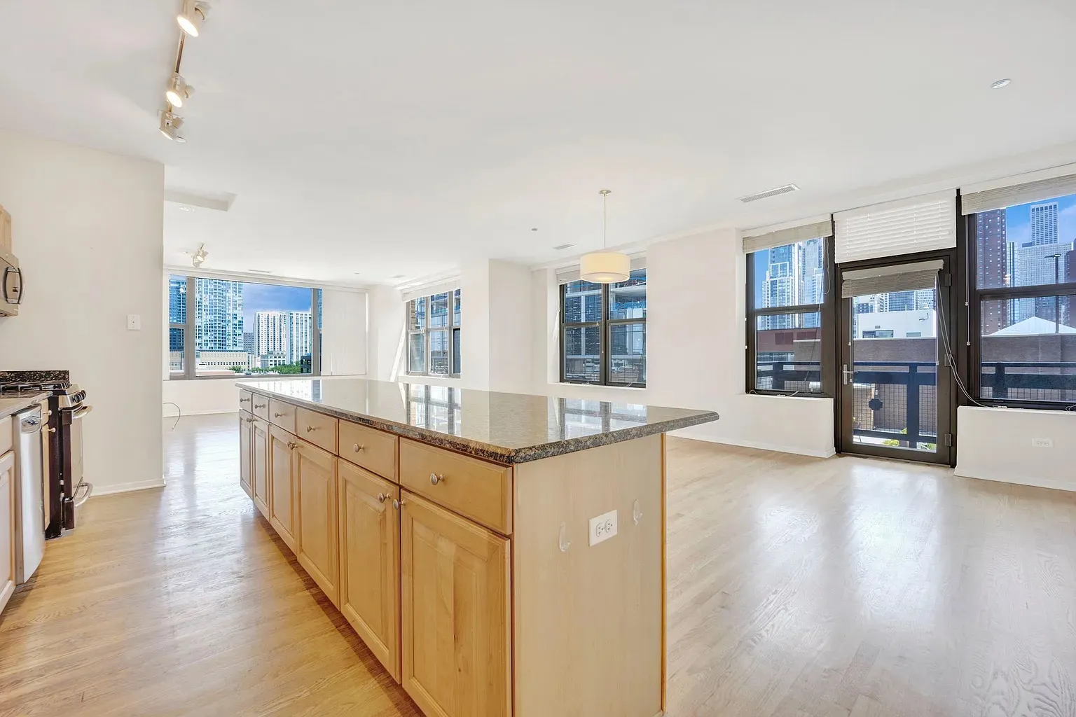 849 N FRANKLIN ST 60610-Parc Chestnut-unit#507-Chicago-IL