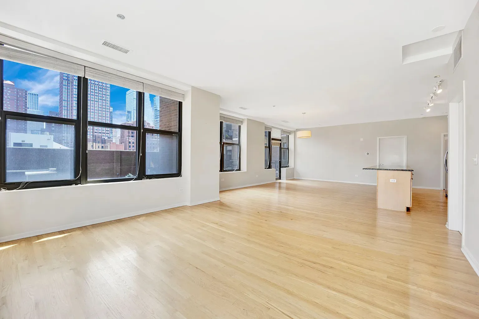 849 N FRANKLIN ST 60610-Parc Chestnut-unit#507-Chicago-IL