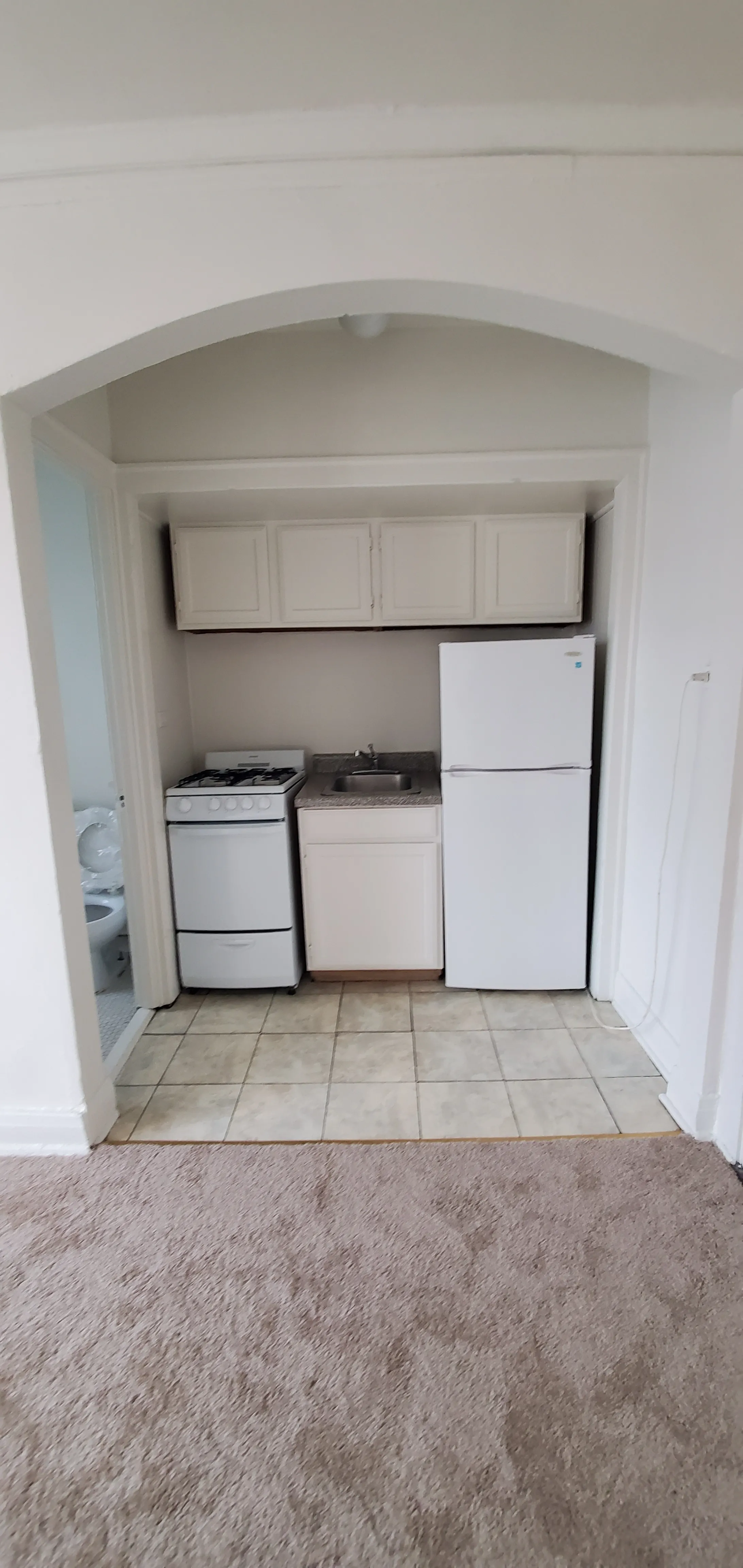 640 W BRIAR PL 60657-unit#309-Chicago-IL