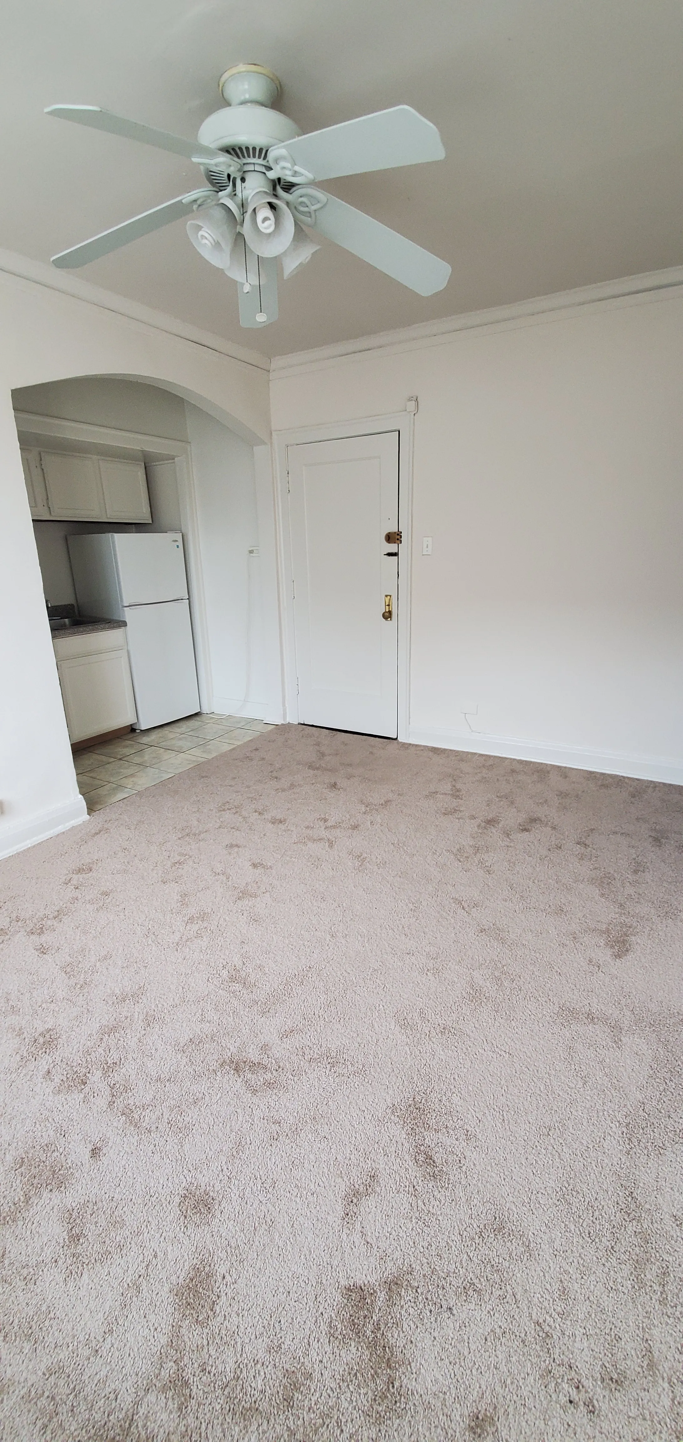 640 W BRIAR PL 60657-unit#309-Chicago-IL