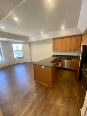 4010 S CALUMET AVE 60653-unit#3S-Chicago-IL