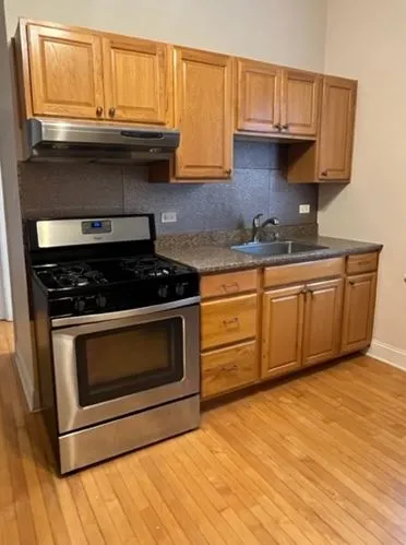 2500 N WASHTENAW AVE 60647-unit#02-Chicago-IL