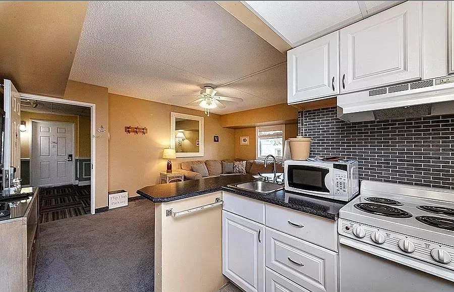 70 E SCOTT ST 60610-unit#1-Chicago-IL