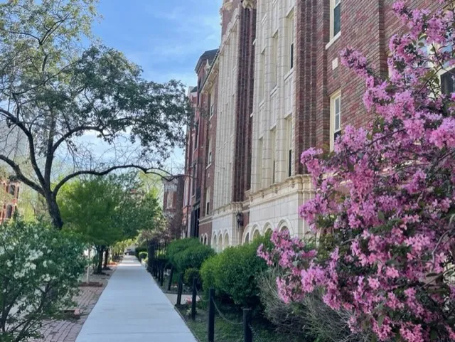 1824 N LINCOLN PARK WEST 60614-unit#306-Chicago-IL