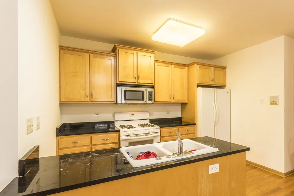 1423 W FLMORE ST 60607-unit#1-Chicago-IL