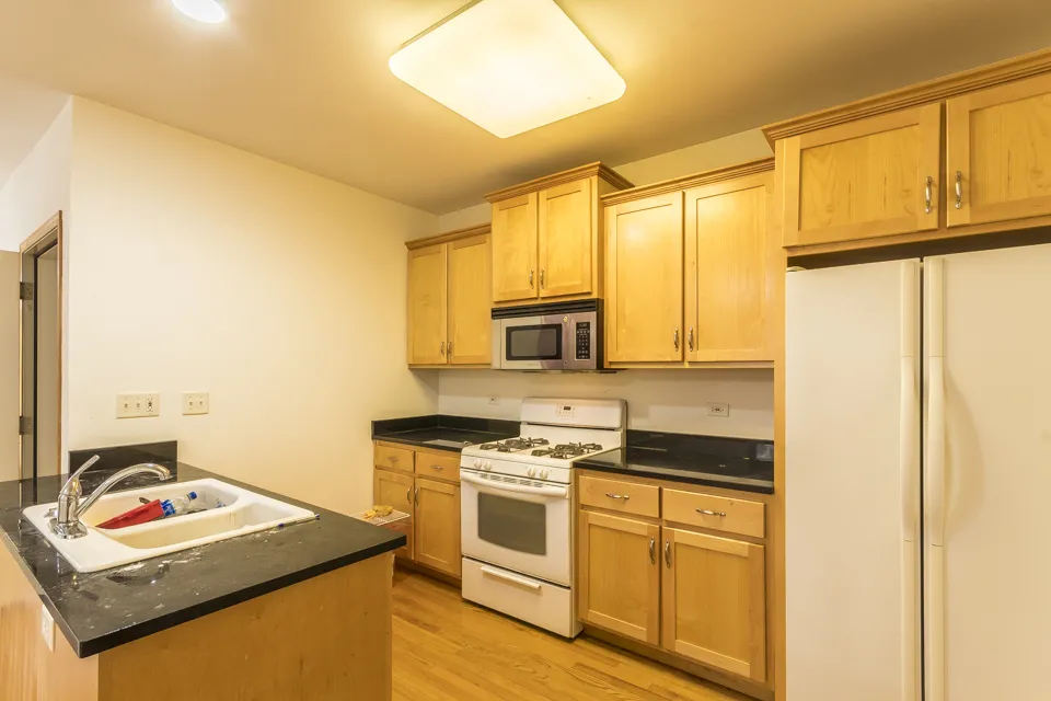 1423 W FLMORE ST 60607-unit#1-Chicago-IL