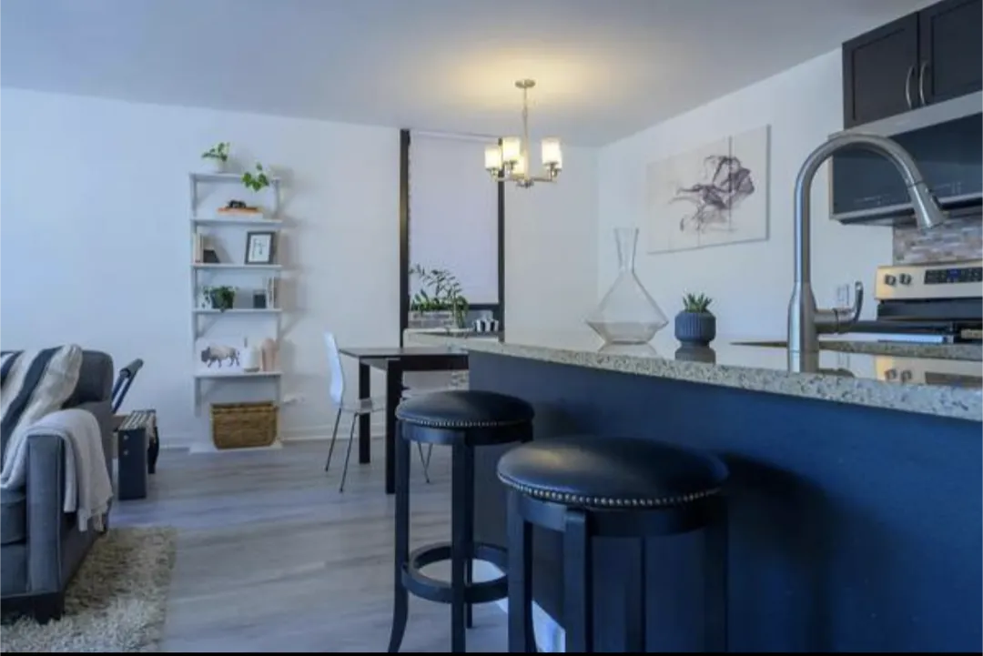 1540 N LA SALLE DR 60610-La Salle Terrace-unit#201-Chicago-IL