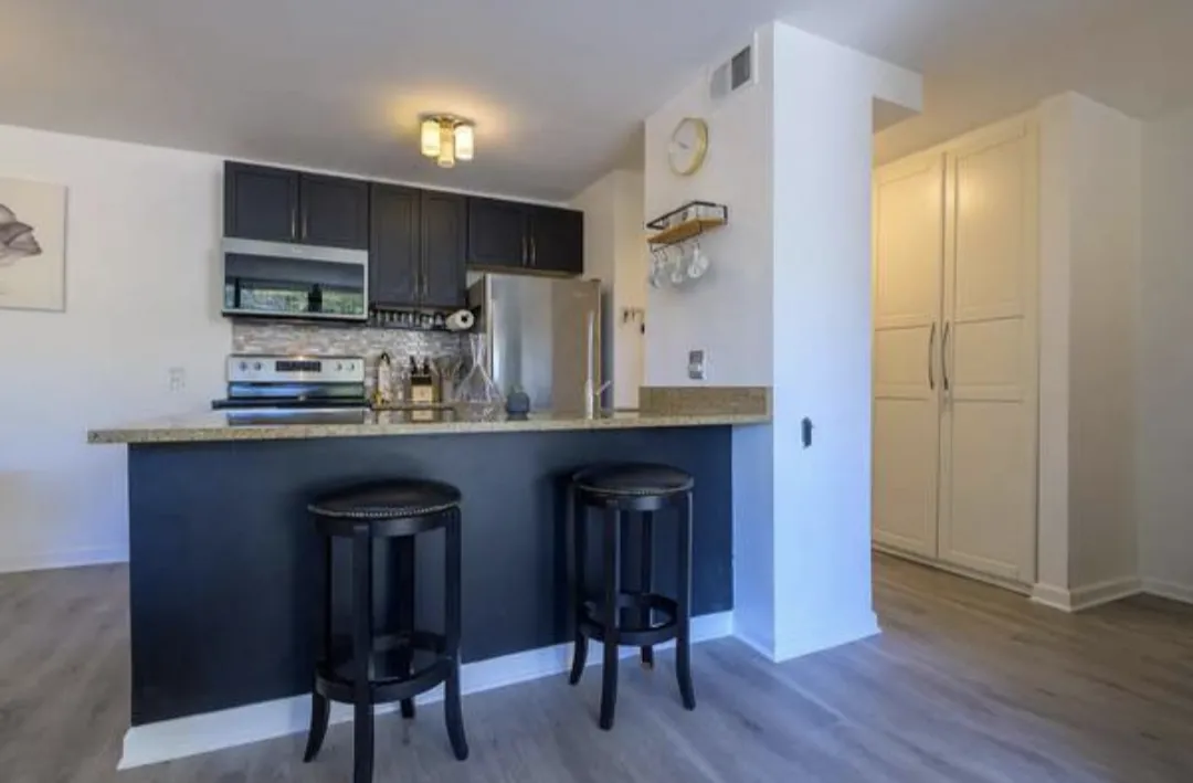 1540 N LA SALLE DR 60610-La Salle Terrace-unit#201-Chicago-IL