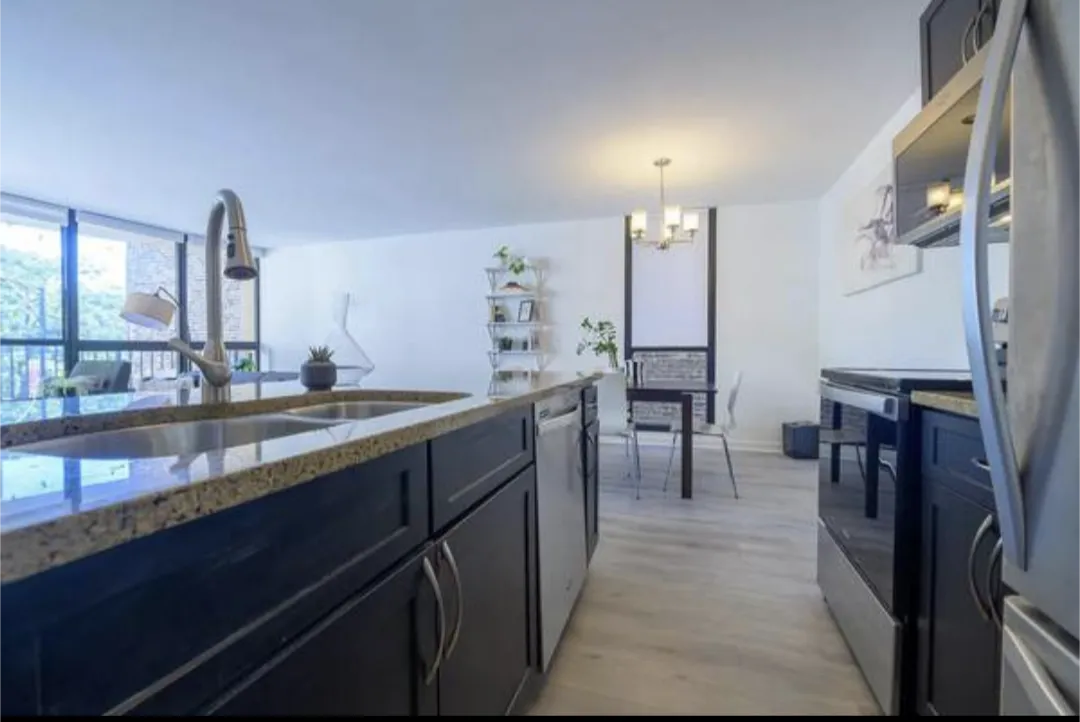 1540 N LA SALLE DR 60610-La Salle Terrace-unit#201-Chicago-IL