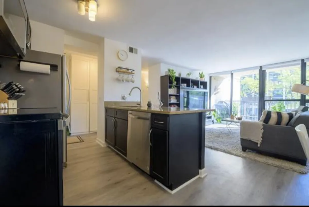 1540 N LA SALLE DR 60610-La Salle Terrace-unit#201-Chicago-IL