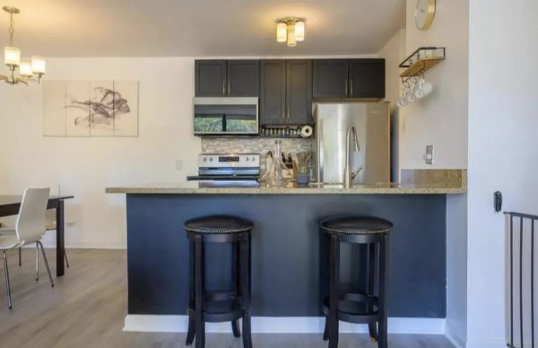 1540 N LA SALLE DR 60610-La Salle Terrace-unit#201-Chicago-IL