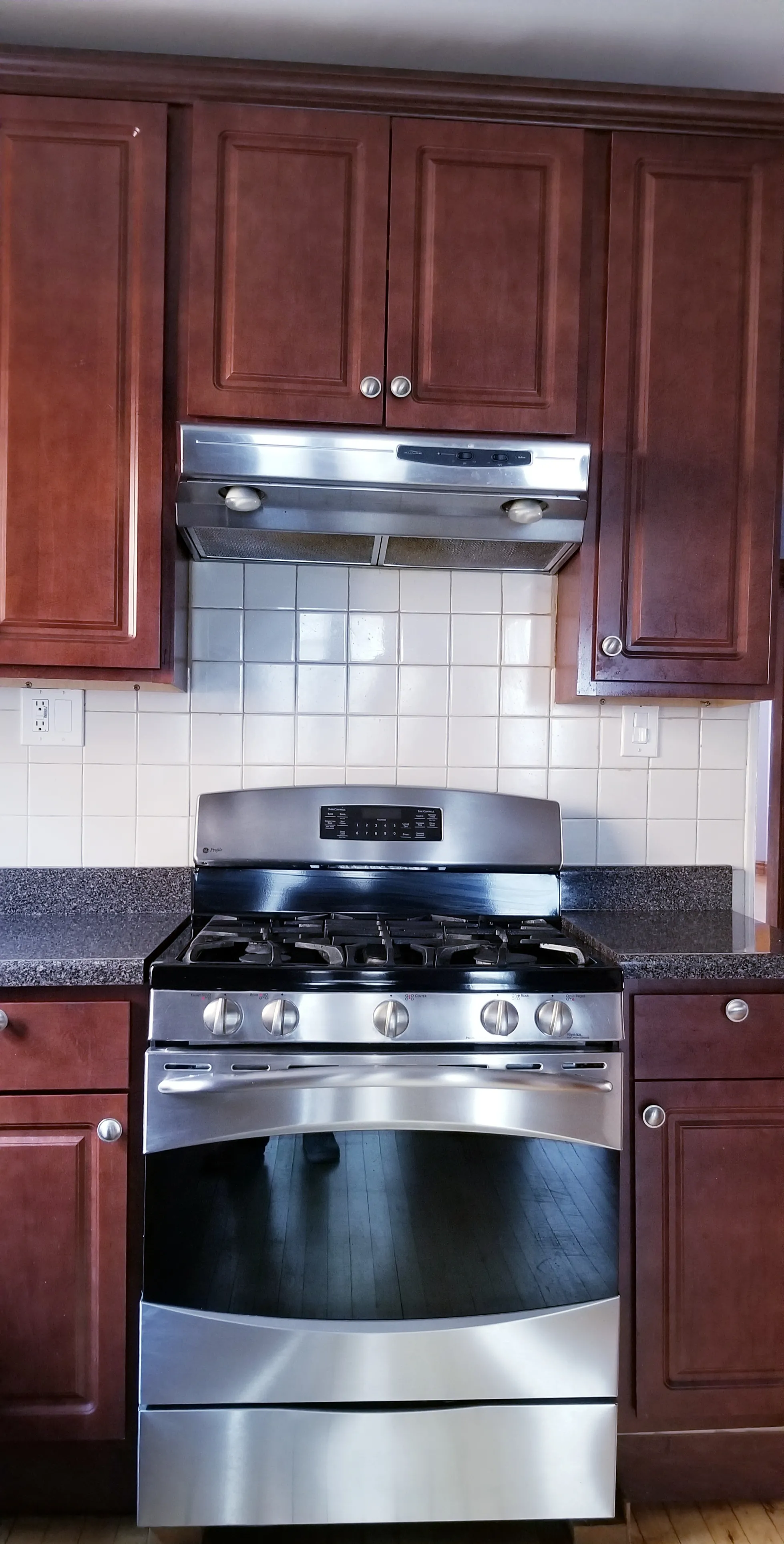 3119 N DAVLIN CT 60618-unit#2-Chicago-IL