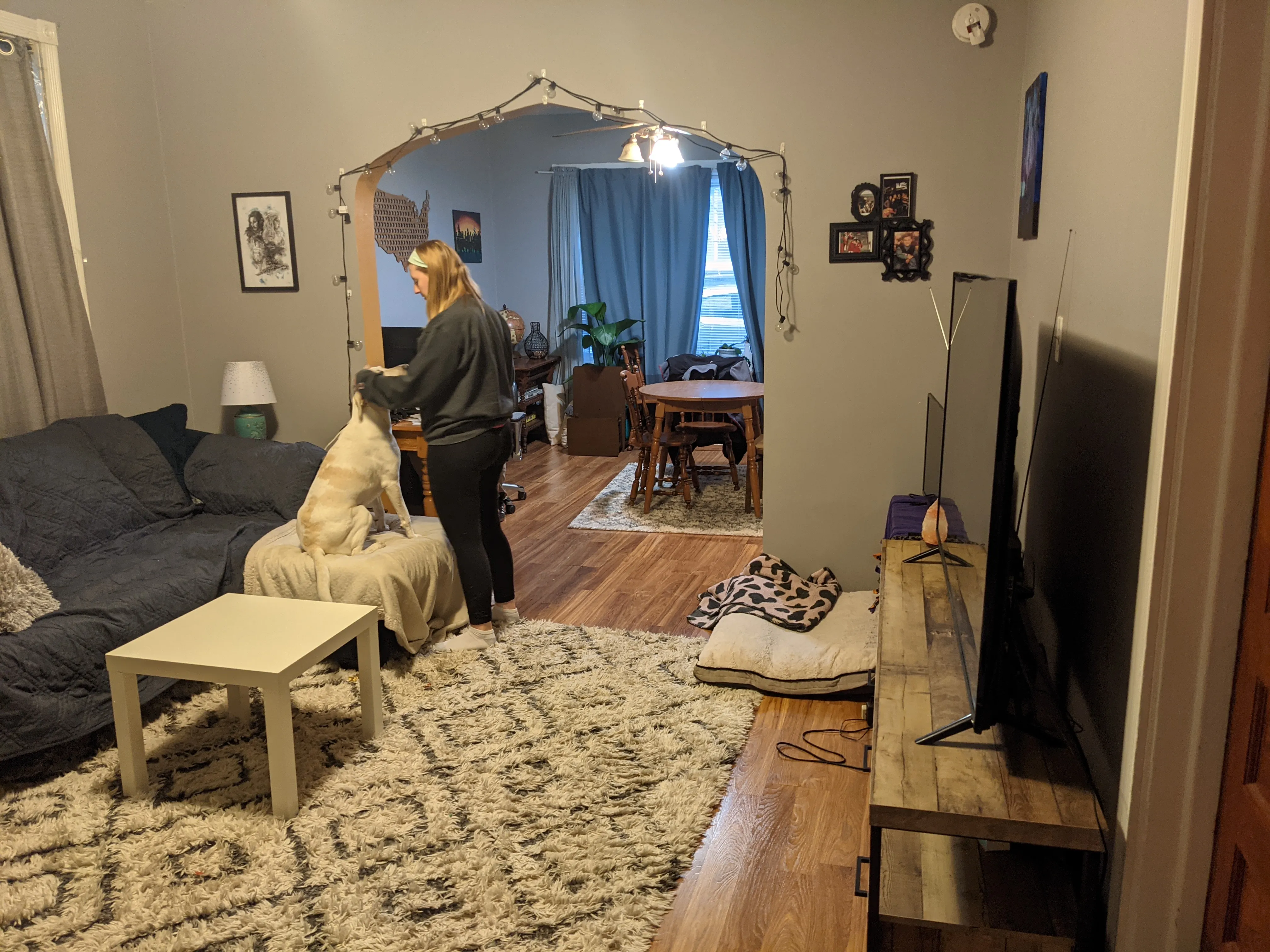 3037 N SPAULDING AVE 60613-unit#1-Chicago-IL