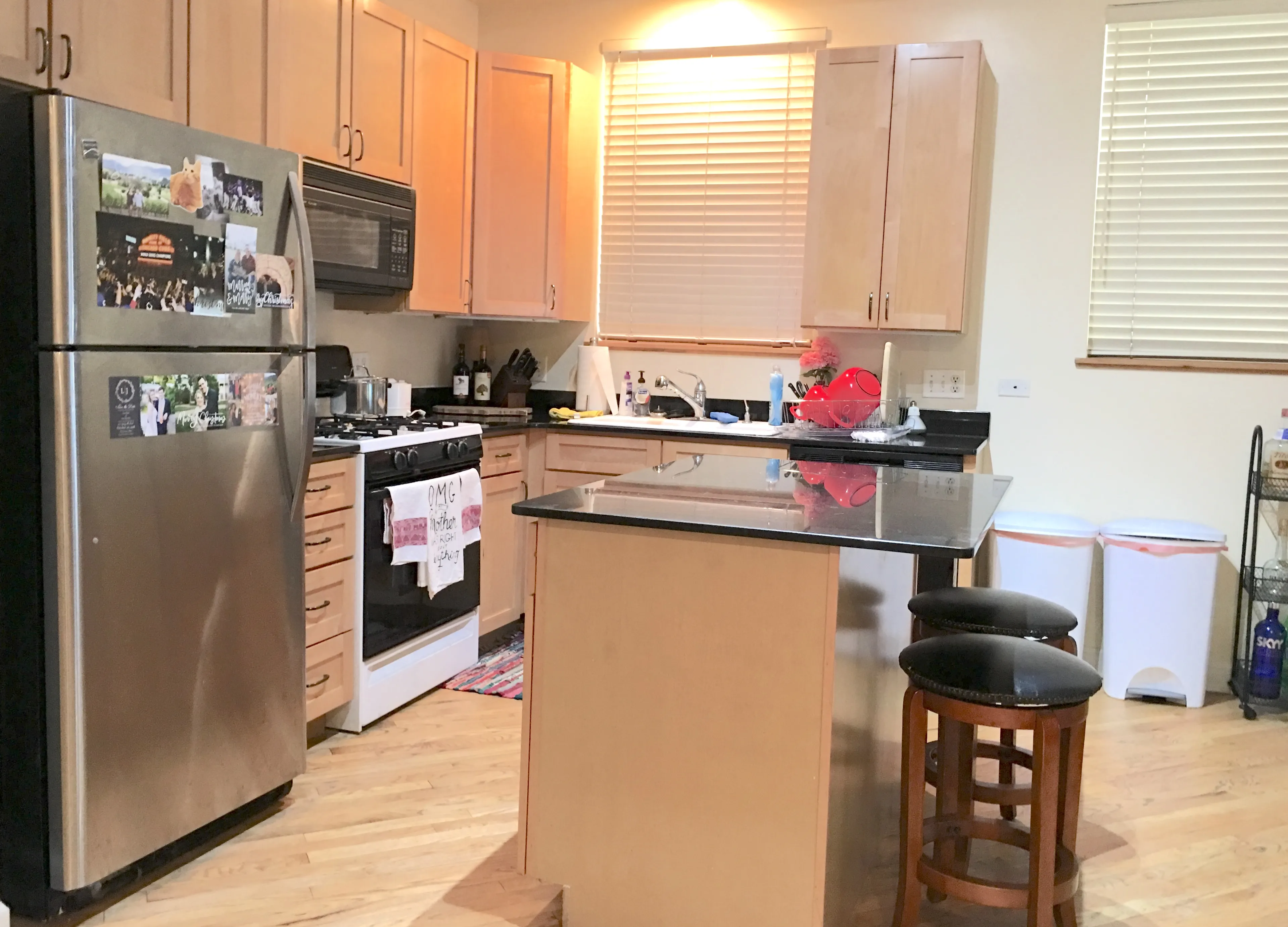 1821 N CLYBOURN AVE 60614-Clybourn-unit#1-Chicago-IL