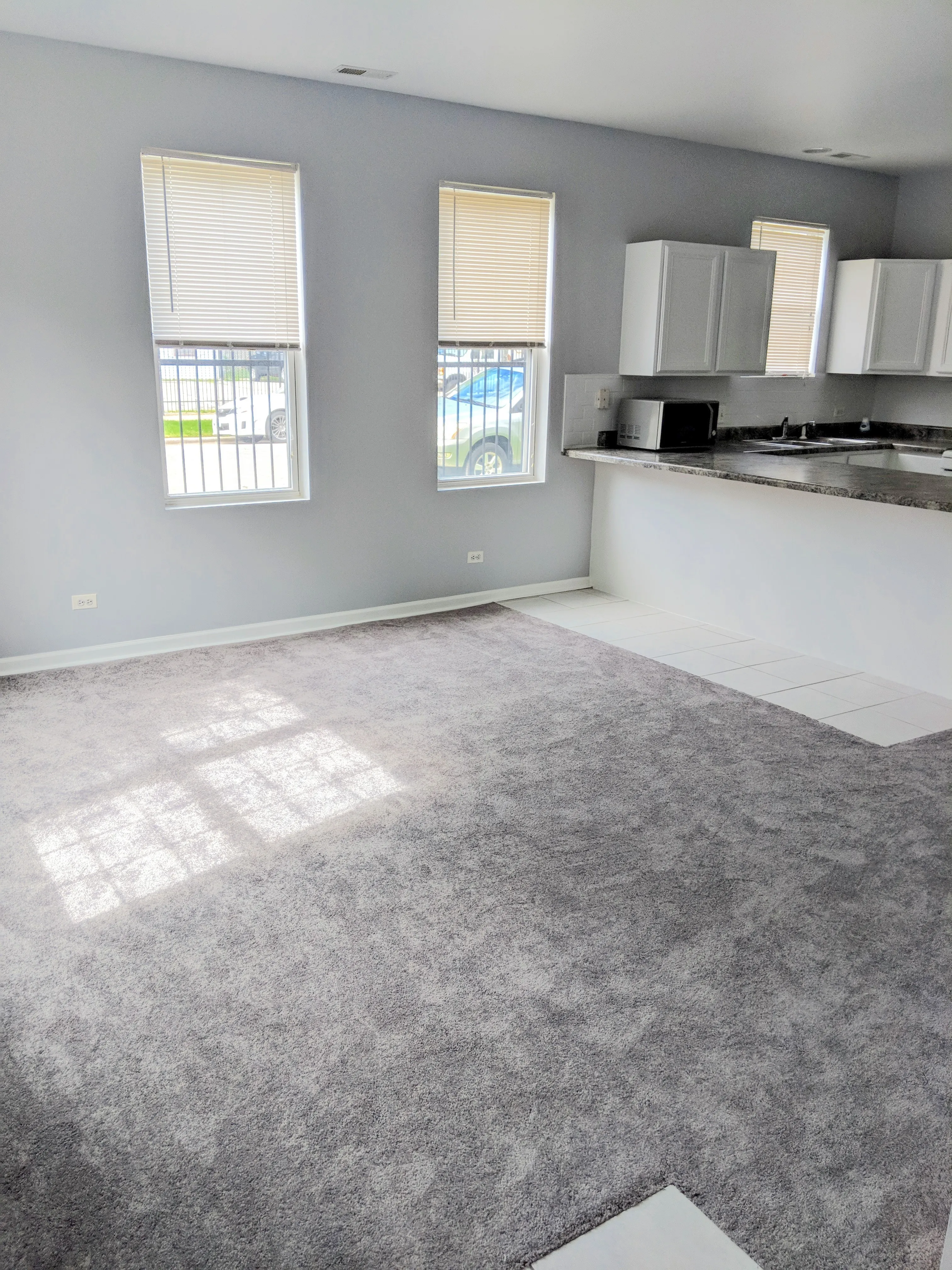 1457 N ROCKWELL ST 60622-unit#01-Chicago-IL
