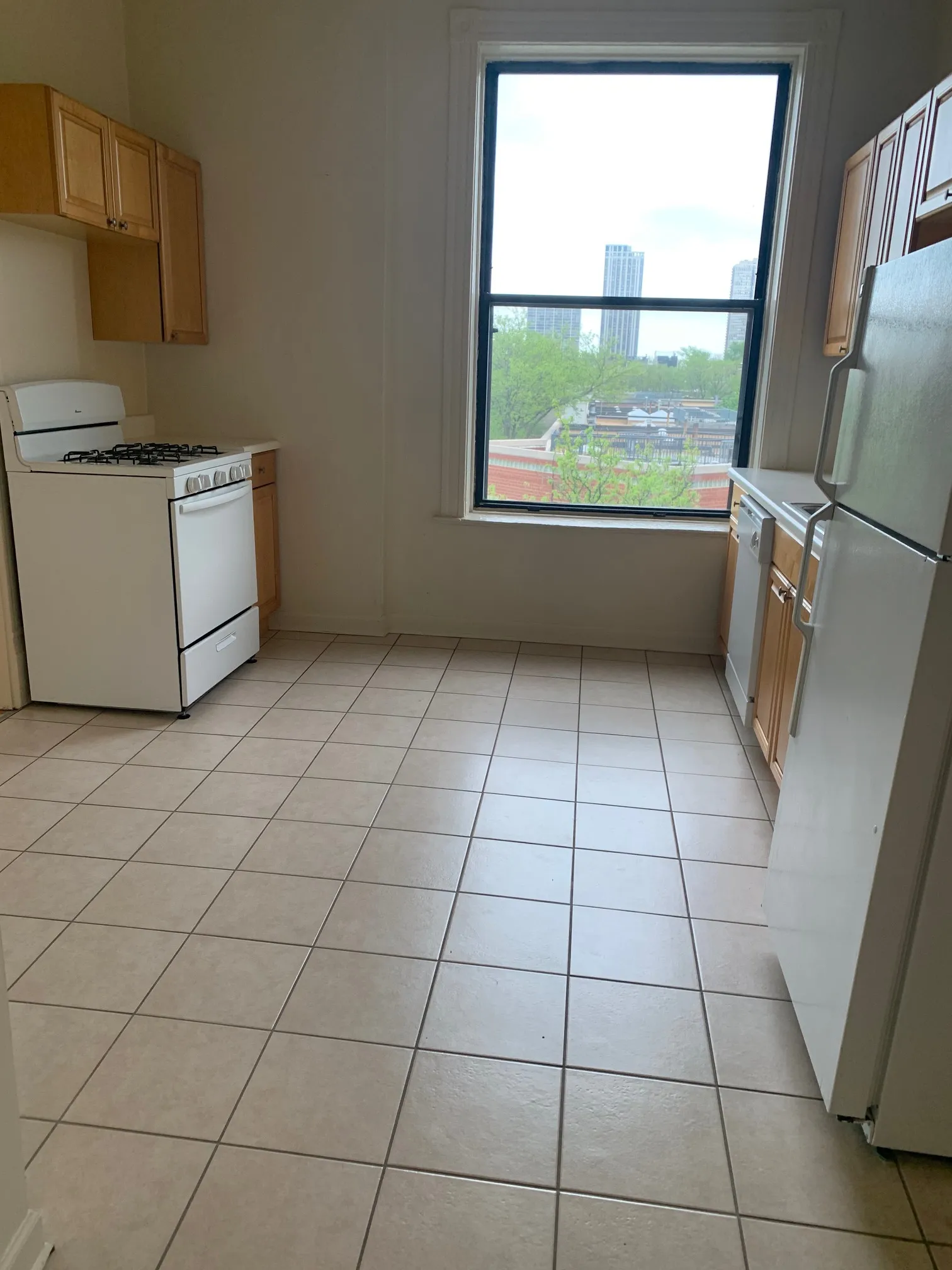 703 W WLOW ST 60614-unit#3-A-Chicago-IL