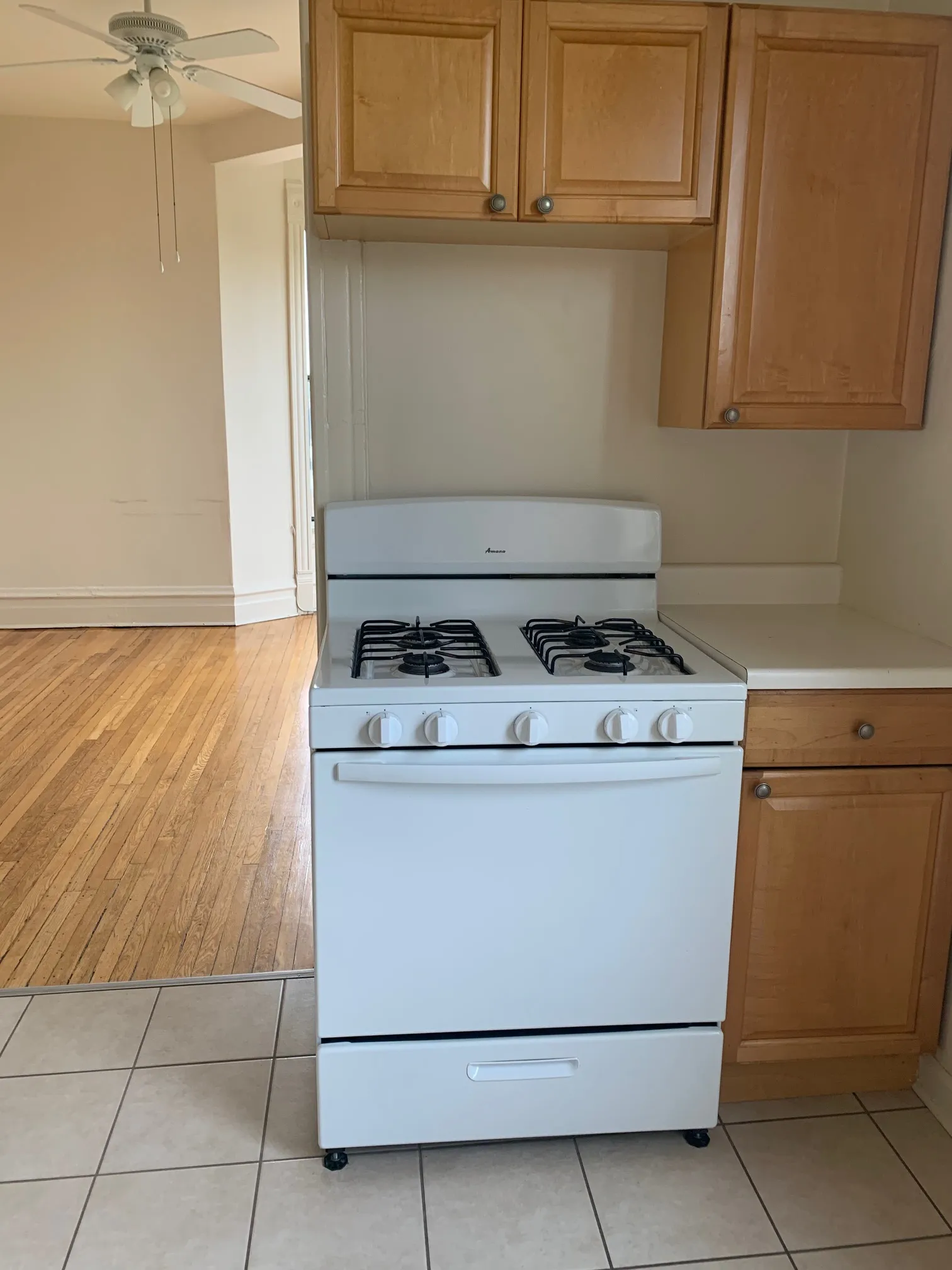 703 W WLOW ST 60614-unit#3-A-Chicago-IL